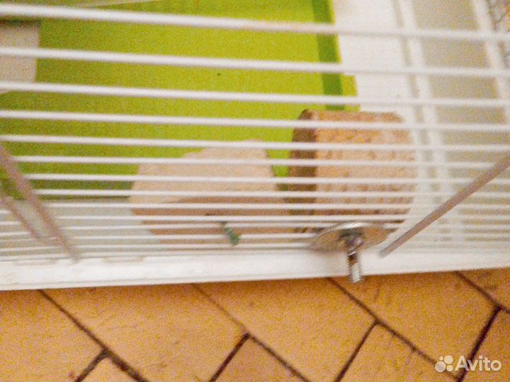 Клетки для животных птиц