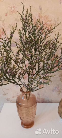 Кермек для флористики