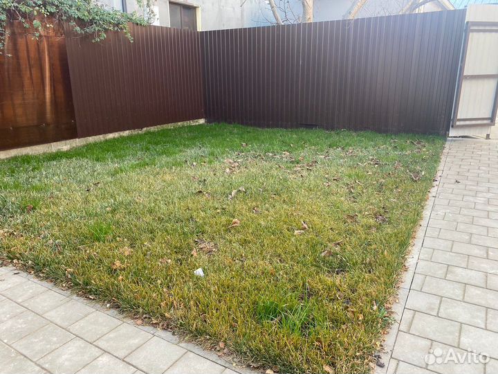 Зоогостиница «Дар» для кошек, собак, грызунов