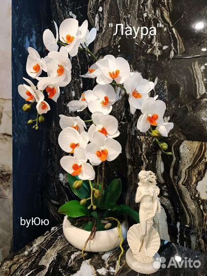 Орхидеи интерьерные