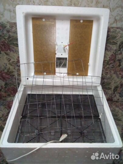 Инкубатор - идеальная наседка Торг