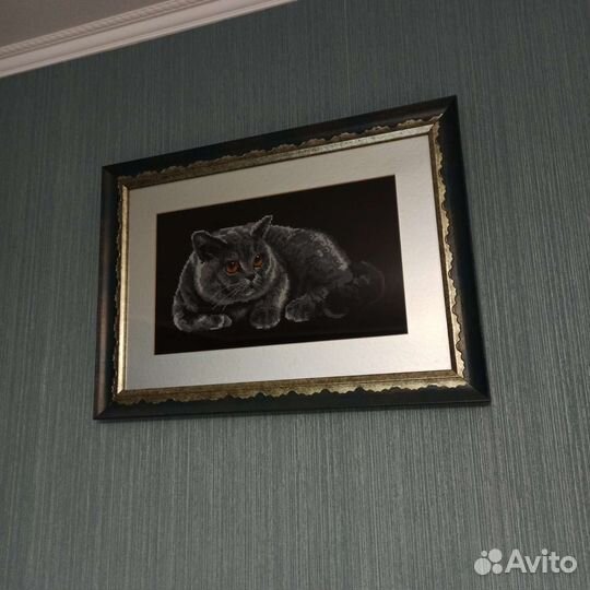 Британский кот