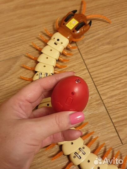 Гусеница-игрушка для животных