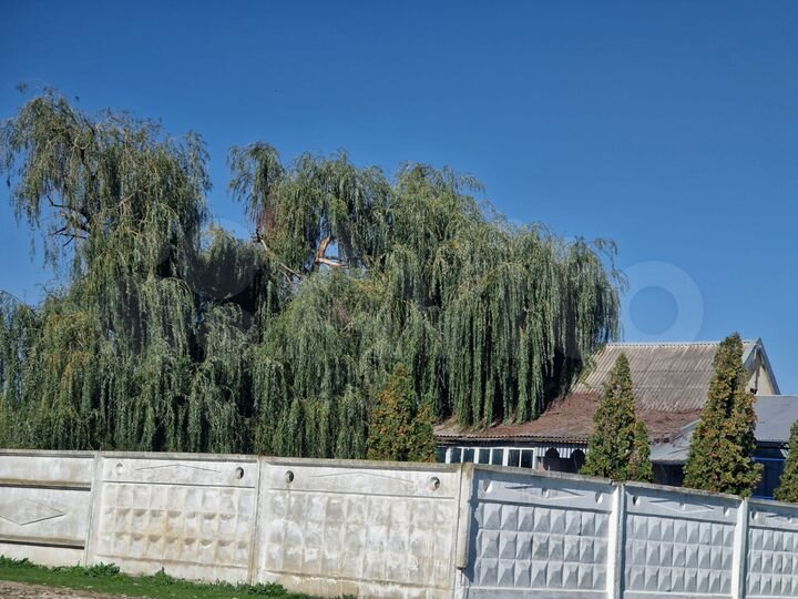 Дача 280 м² на участке 56 сот.