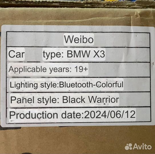 Выдвижные пороги BMW X3 2019+