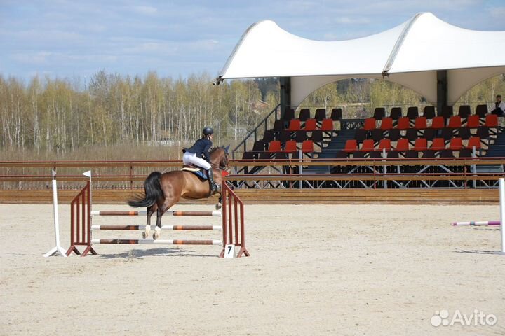 Конкурный мерен