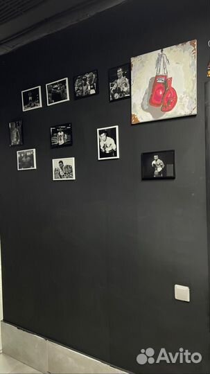 Секция бокса Юг Великий