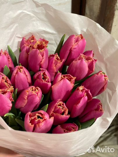 Тюльпаны к 8 марта