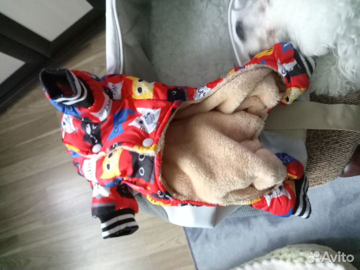 Продам сумку для мелкой собачки и куртку зимнюю