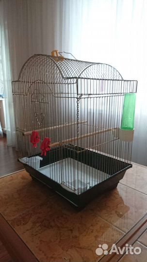 Клетка для попугая бу