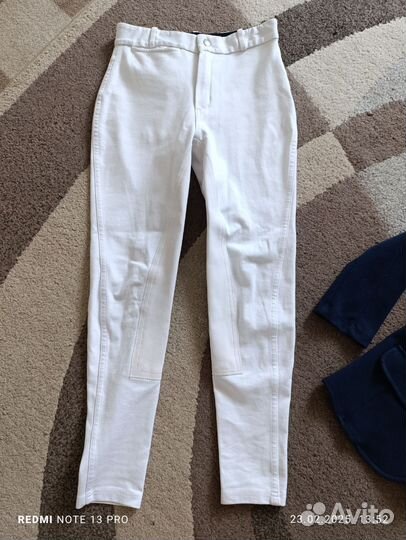 Вещи для конного спорта