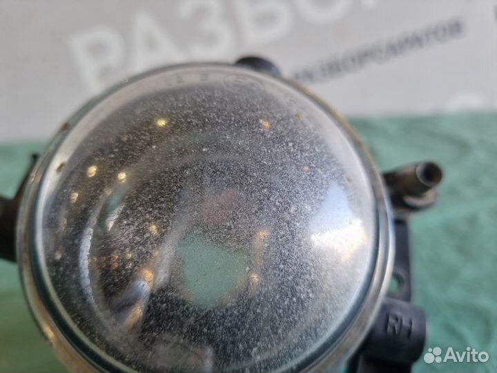 Фара противотуманная передняя правая Ford Focus