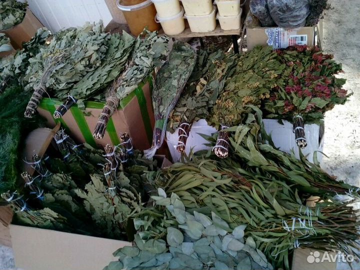 Веники для бани 2022