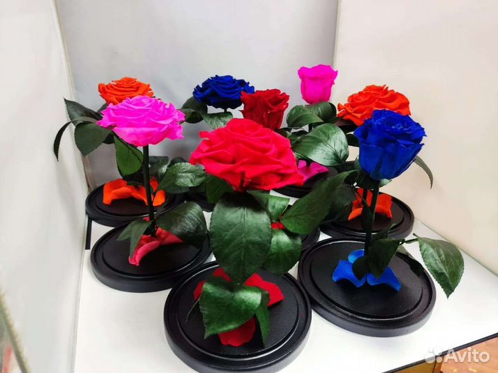 Роза в колбе оптом и в розницу