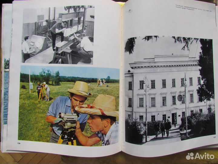 Лоллий Замойский 