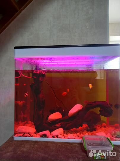 Аквариум с рыбками бу 75 литров