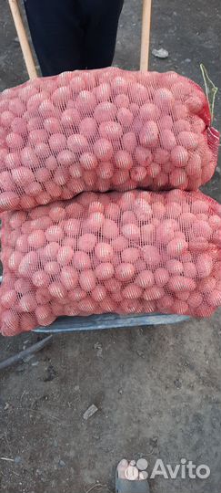Продам картофель с доставкой