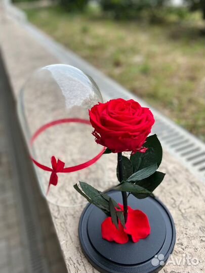 Вечная роза в колбе