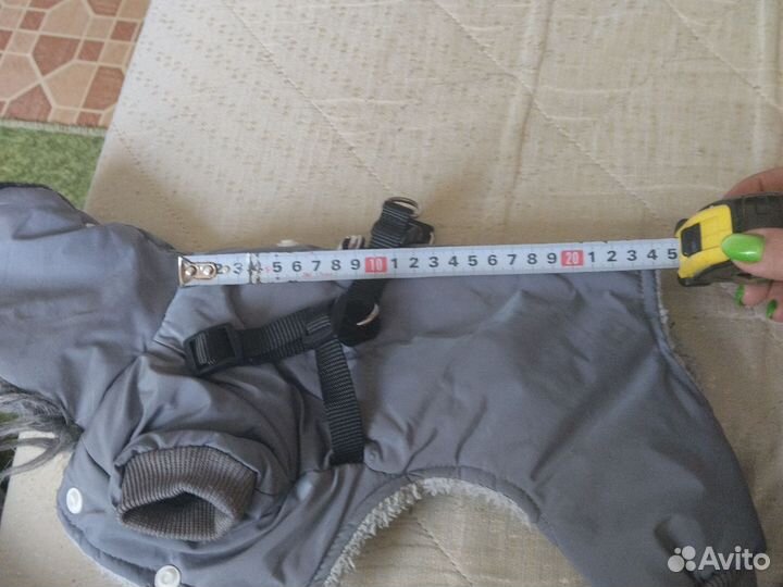 Одежда для собак мелких пород