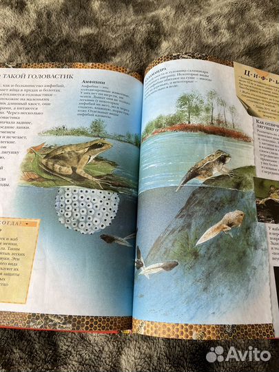 Энциклопедия для детей