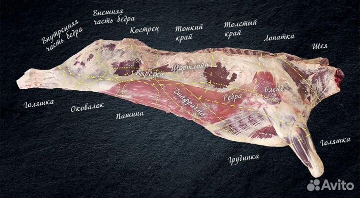 Продам мясо говядина