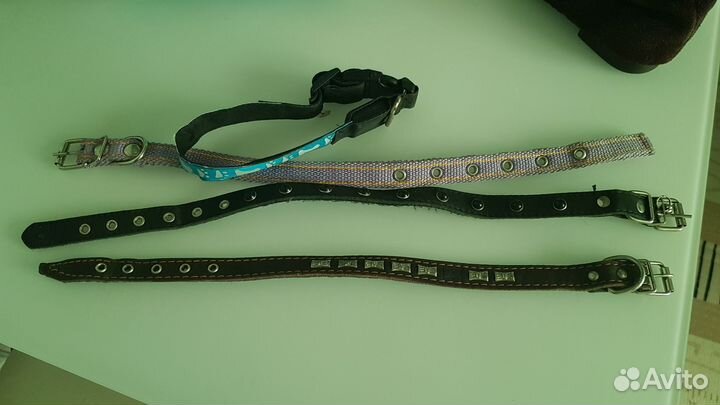 Ошейник для собак