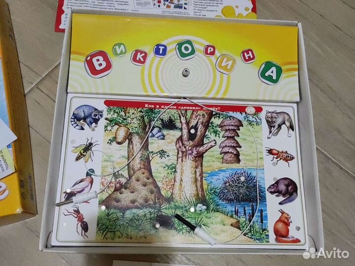 Электровикторина