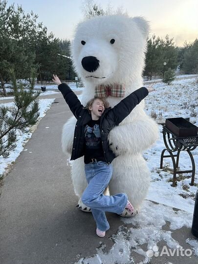 Медведь поздравление