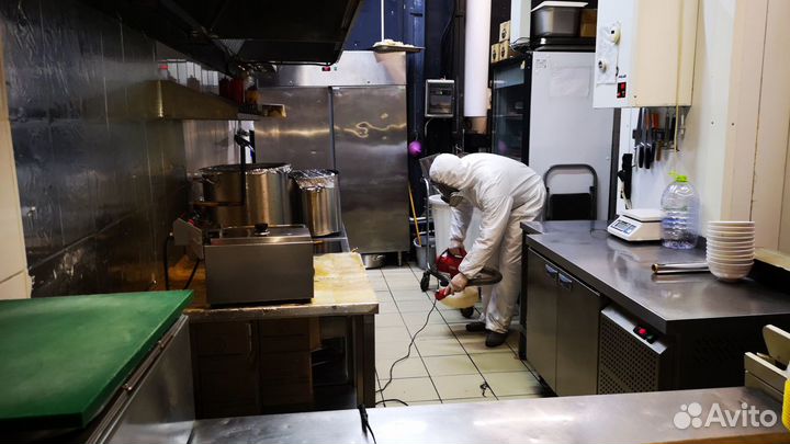 Уничтожение тараканов, клопов. Травить клещей,крыс