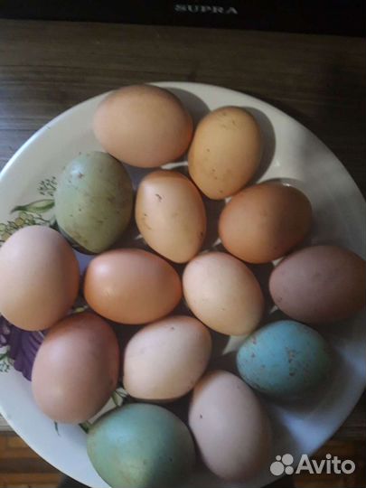 Домашние куриные яйца