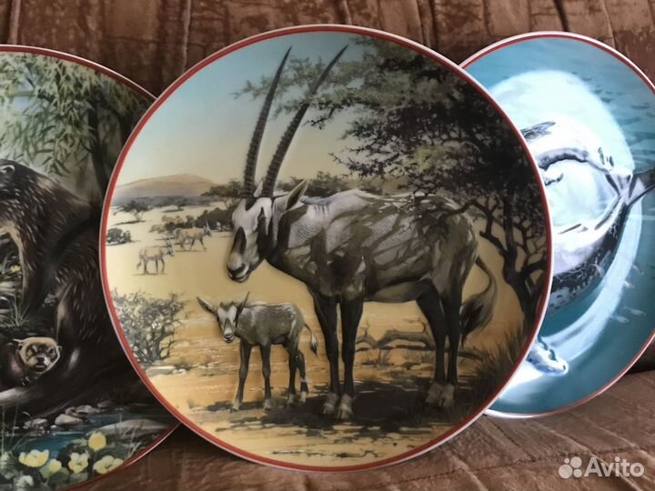 Животные Всемирный фонд дикой природы тарелка