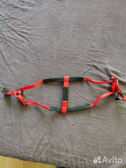 Шлейка для маленькой собаки