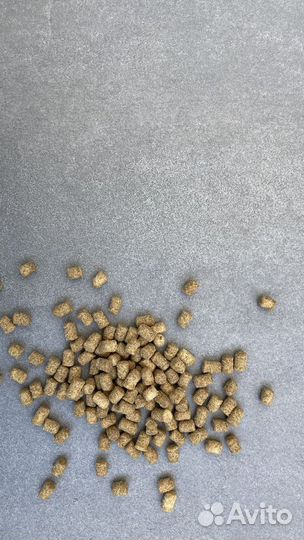 Корм для собак с доставкой