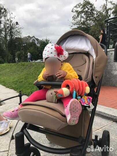 Коляска Anex cross 2 в 1