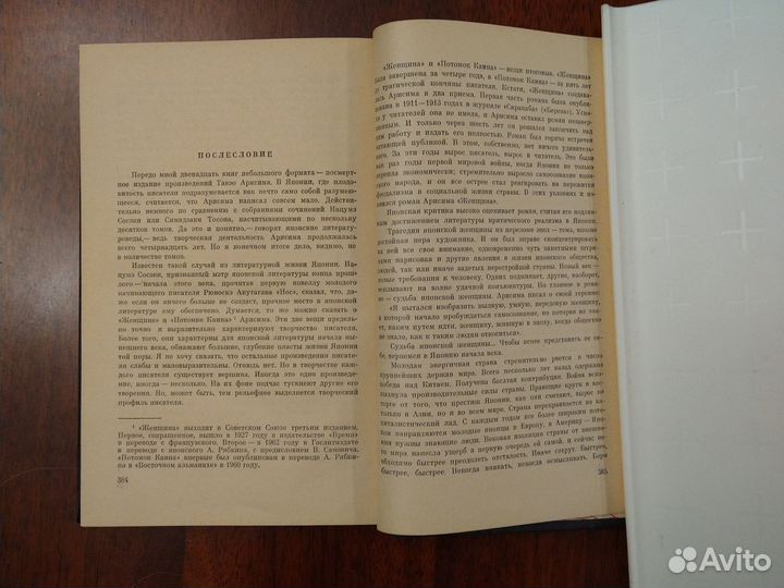 Такэо Арисима. Женщина. Потомок Каина