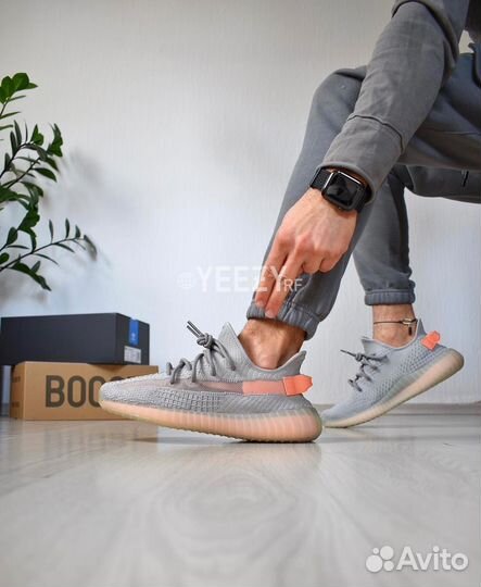 Кроссовки Adidas Yeezy Boost 350 V2 True Form