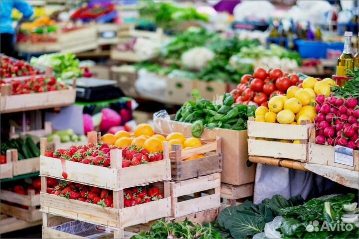 Овощи и фрукты оптом