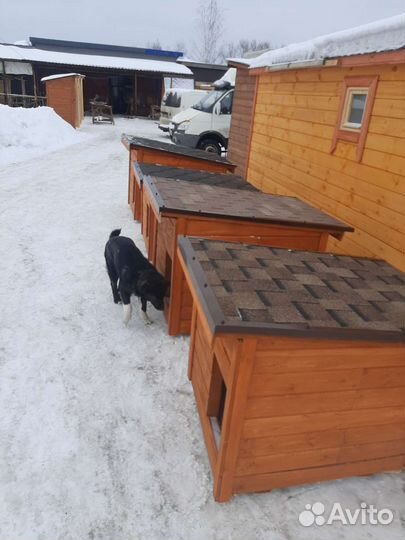 Будка для собаки