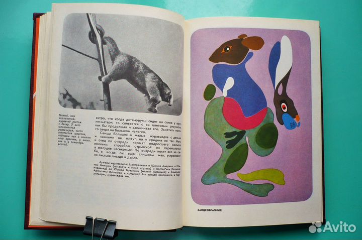 Акимушкин И. И. Книга «Мир животных» Москва 1971