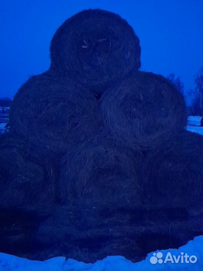Сено в рулонах