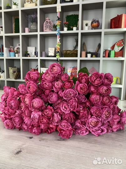 Кустовая пионовидная роза, розы оптом, пионы