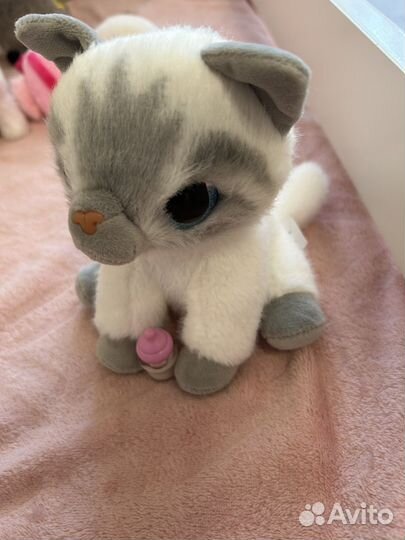 Очаровательный интерактивный котенок