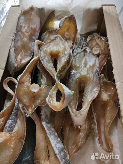 Стейк щуки вяленый