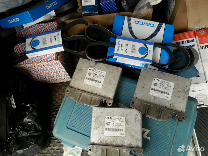 Поршня газ 560 штаер штайер