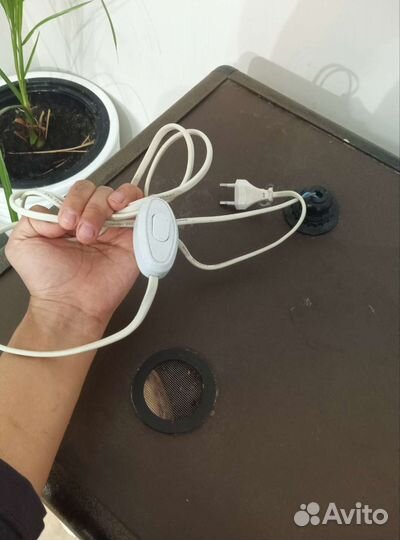 Террариум большой