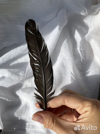 Перья для творчества