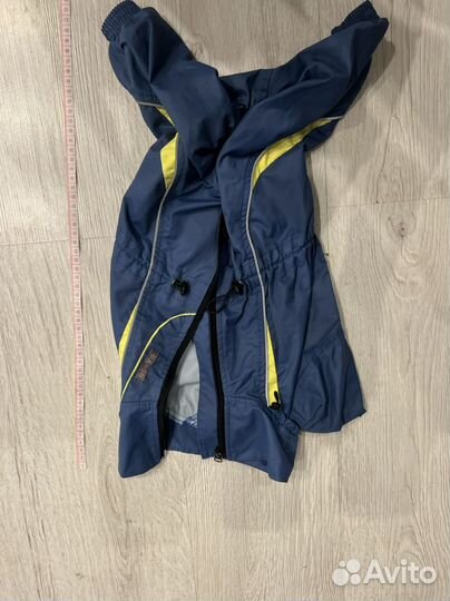 Одежда для собак