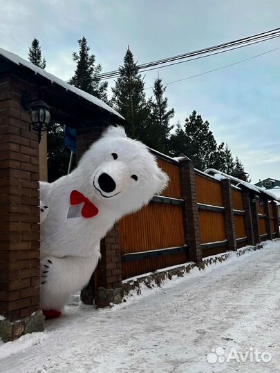 Розовый мишка и другие ростовые куклы