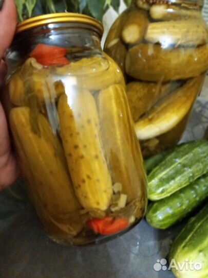 Огурцы маринованные. Домашняя консервация