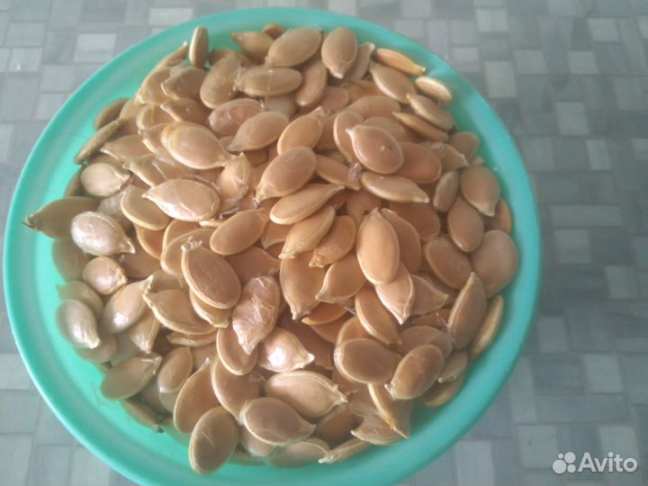 Семена тыквы